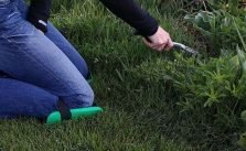 Knee pads for easier gardening in the backyard