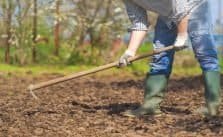Working with a hoe in the garden