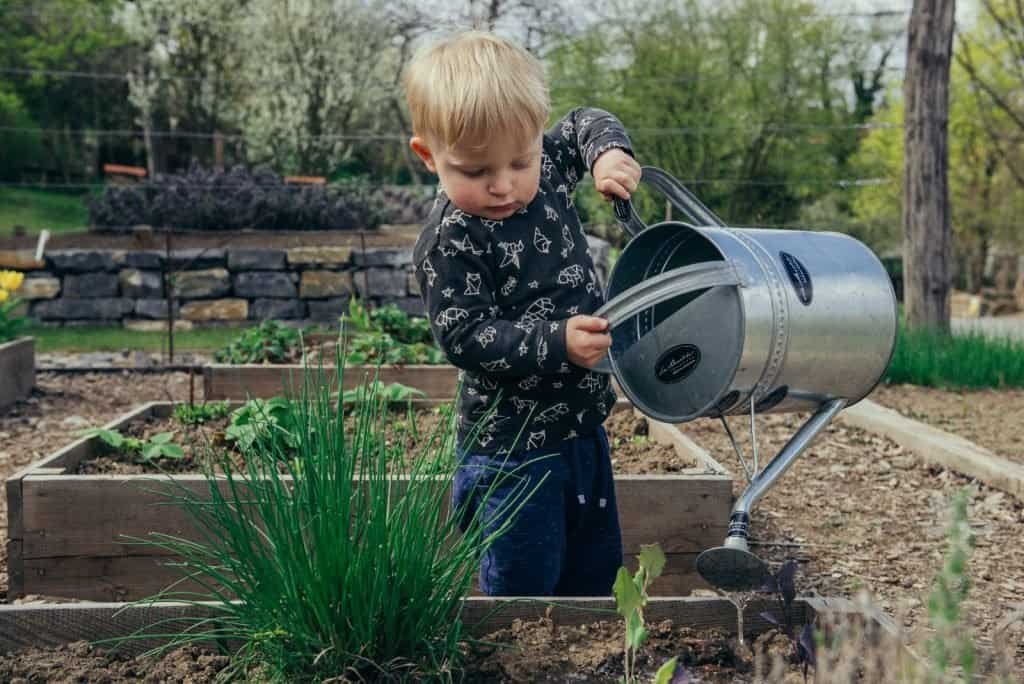 May Garden Tasks