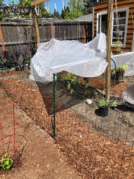 frost cloth protection