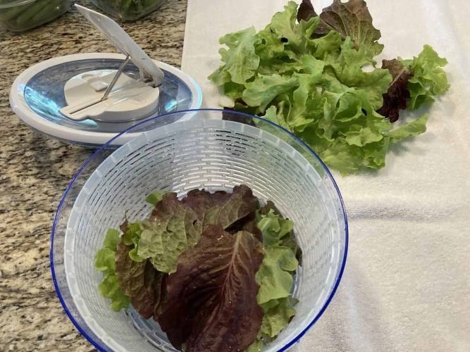 Lettuce Spinner
